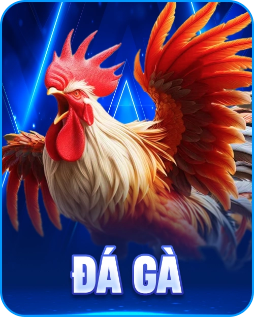Đá Gà